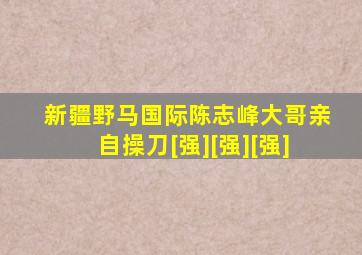 新疆野马国际陈志峰大哥亲自操刀[强][强][强]